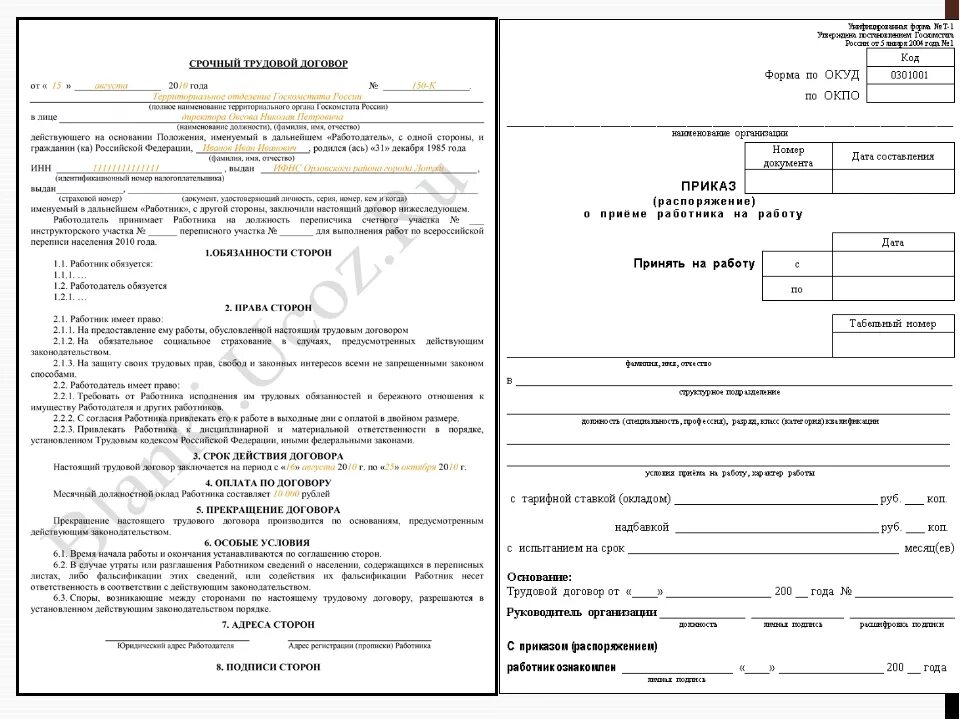 Приказ 45 от 2023. Примерная форма трудового договора 8 класс. Примерная форма трудового договора заполненный образец. Образец заполнения трудового договора с работником. Документ трудовой договор образец.