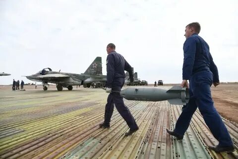 Посадка в волгограде