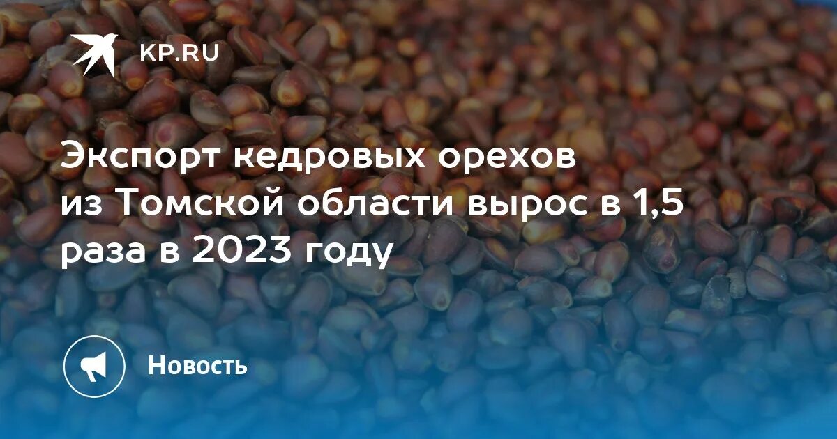 Погода кедровый томская область на 10 дней. Томская область Кедровый орех. Кедровые орехи запрет на вывоз. Чилийские кедровые орехи. Экономика Кедровый орех и лес Томской области.