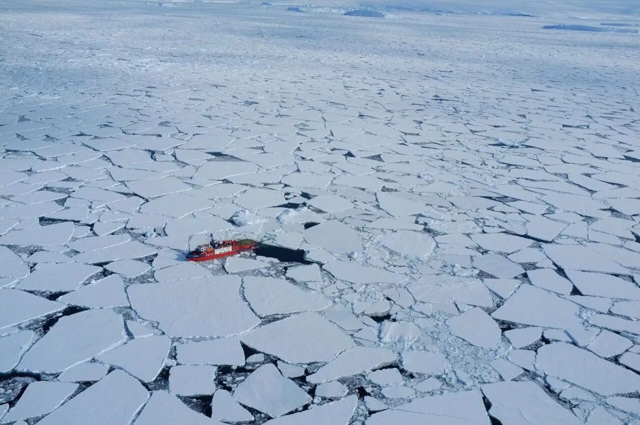 Северный Ледовитый океан паковый лед. Во льдах Арктики. Арктика море. Арктические льды.