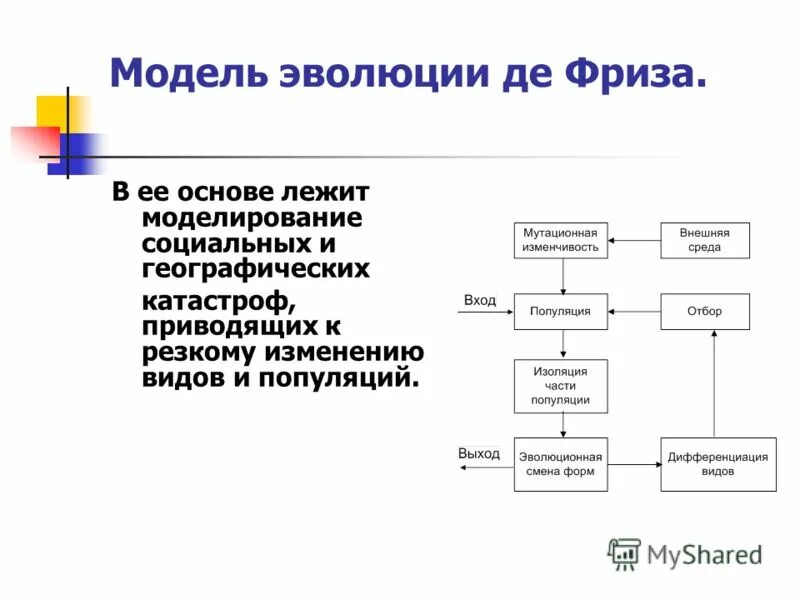 История развития моделей. Модели эволюции. Эволюционное моделирование. Эволюционная модель. Эволюционная модель разработки по.