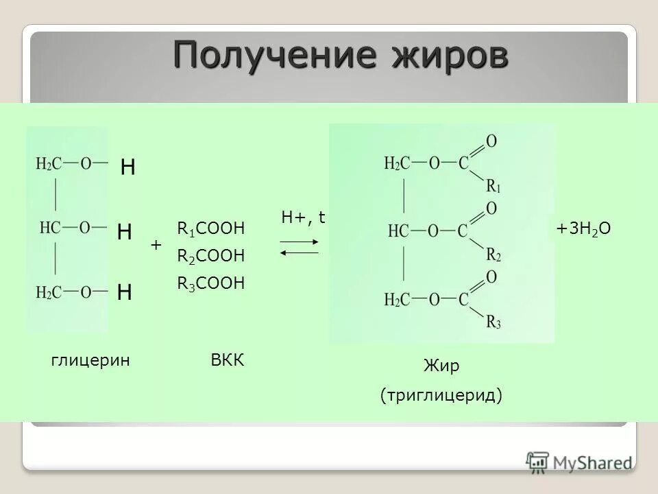 Сложные эфиры 10 класс химия тест