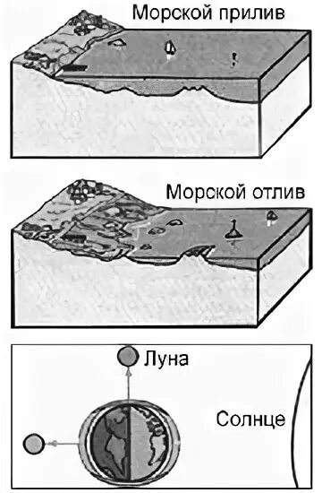 Почему происходят отливы. Приливы и отливы. Приливы и отливы Луна. Приливы и отливы схема. Приливы и отливы астрономия.