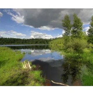 Погода топорково щелковский