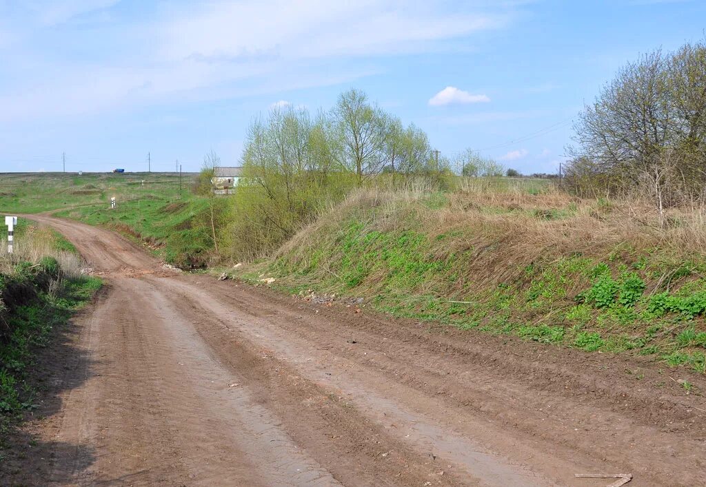 Бахметьево Тульская. Село Бахметьево Тульская область. Бахметьево Богородицкого района Тульской области. Деревня Бахметьево.