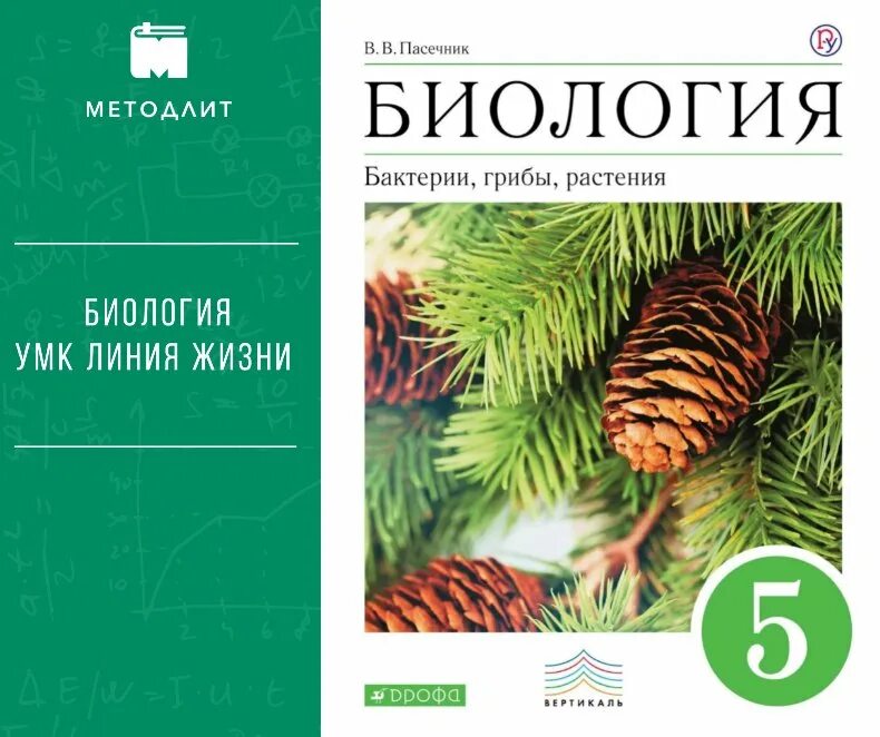 Биология 6 класс. Бактерии, грибы, растения. Пасечник. Биология бактерии грибы растения 5 класс Пасечник в.в. УМК по биологии 5 класс Пасечник линия жизни. Пасечник биология 5 класс Дрофа.