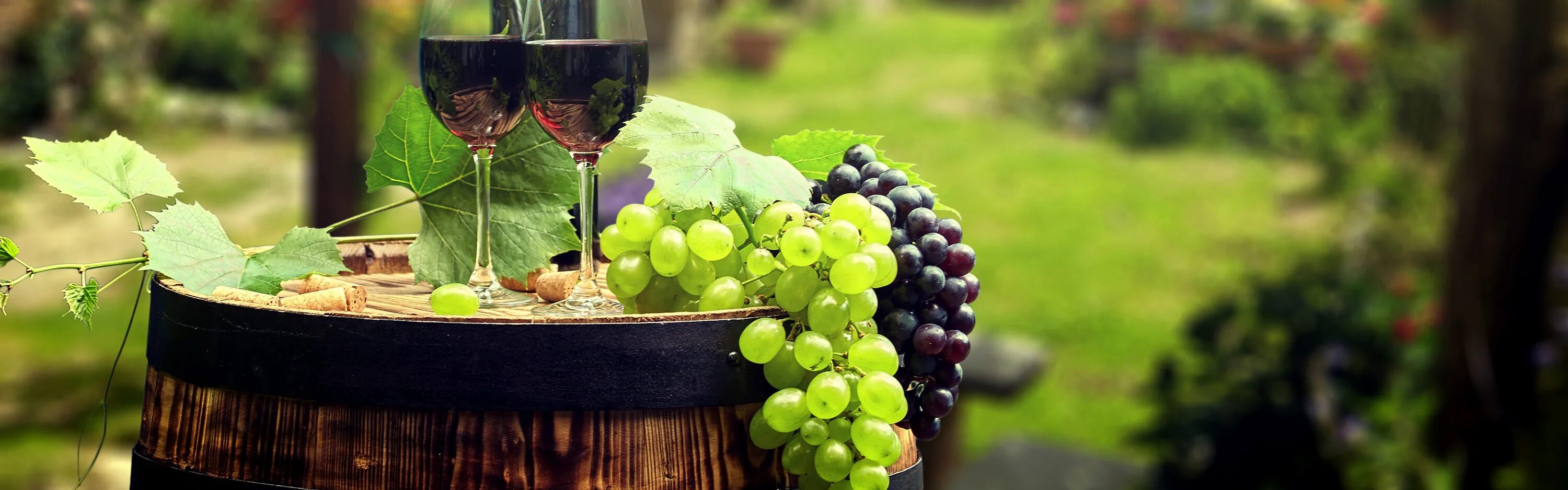 Виноград панорама. Бокал с вином виноград на фоне моря. Вино с этикеткой виноград и бокалы. Пейзаж с бокалом и виноградом.