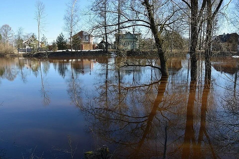 Тосно любань тосно на сегодня. Тосно ленинградская область. половодье в тосно. река тосно ленинградская область. паводок на реке тосно лен. обл.
