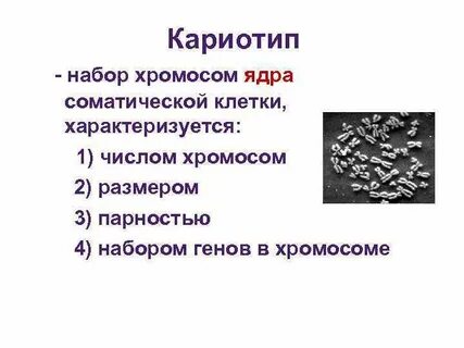 Увеличение числа хромосом в кариотипе свеклы
