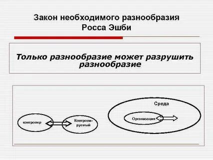 Принцип разнообразия