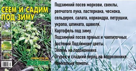 Какие растения посадить под зиму