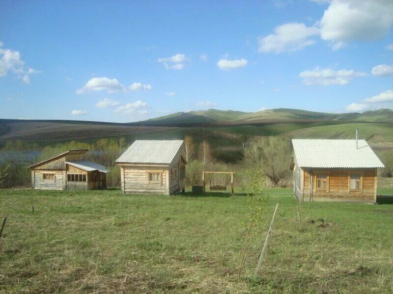 Село Нижнекаменка Алтайского района Алтайского края. Тихая Заимка Алтайский край. Нижняя Каменка Алтайский край. Село нижняя Каменка Алтайского района. Погода алтайский край вторая каменка