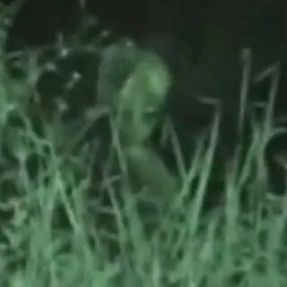 Доказательство инопланетян