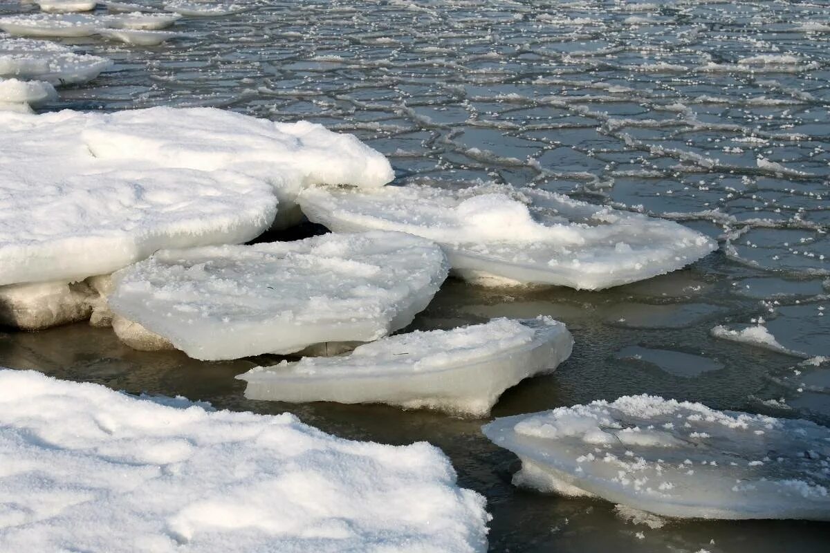 Снежура в Питере. Льдины на реке. Лед на реке. Таяние льда. Кусочки льда на реке