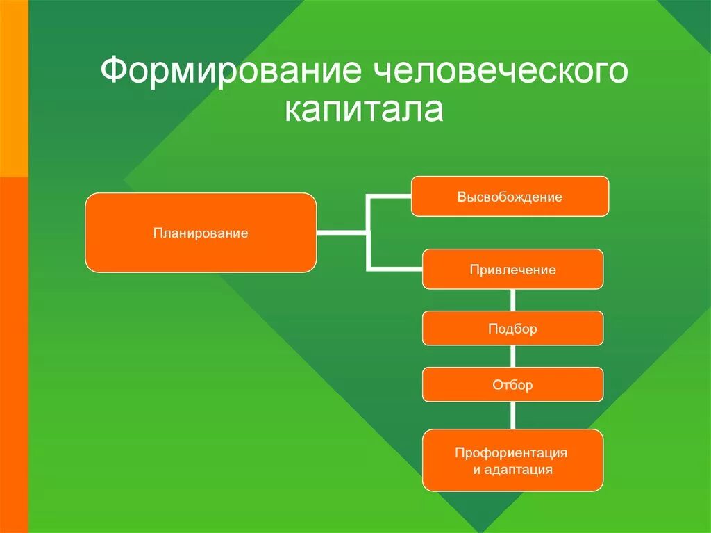 Характеристика человеческого капитала. Формирование человеческого капитала. Стадии формирования человеческого капитала. Последовательность формирования человеческого капитала:. Концепция модели формирования человеческого капитала.