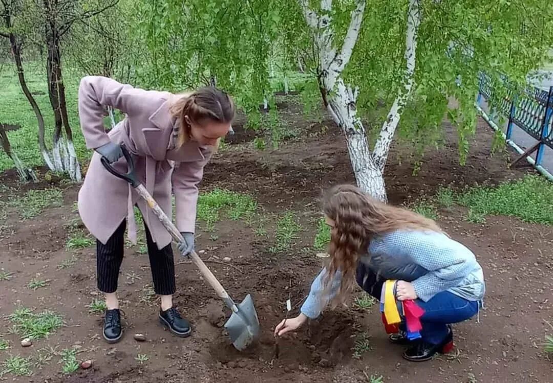 Посадка деревьев в детском саду. Посадка деревьев в саду. Школьники сажают деревья. Посадили сад классом. Посадили сад классом.