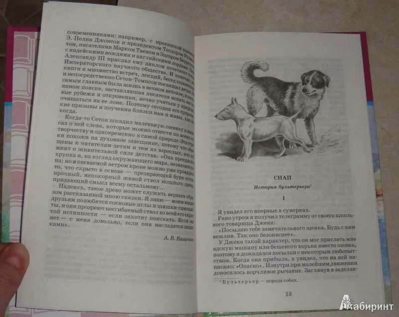 Сетон томпсон короткие рассказы. Эрнст сент томпсон рассказы о животных. Короткий рассказ томпсона. Короткий рассказ томпсона. Короткий рассказ томпсона.