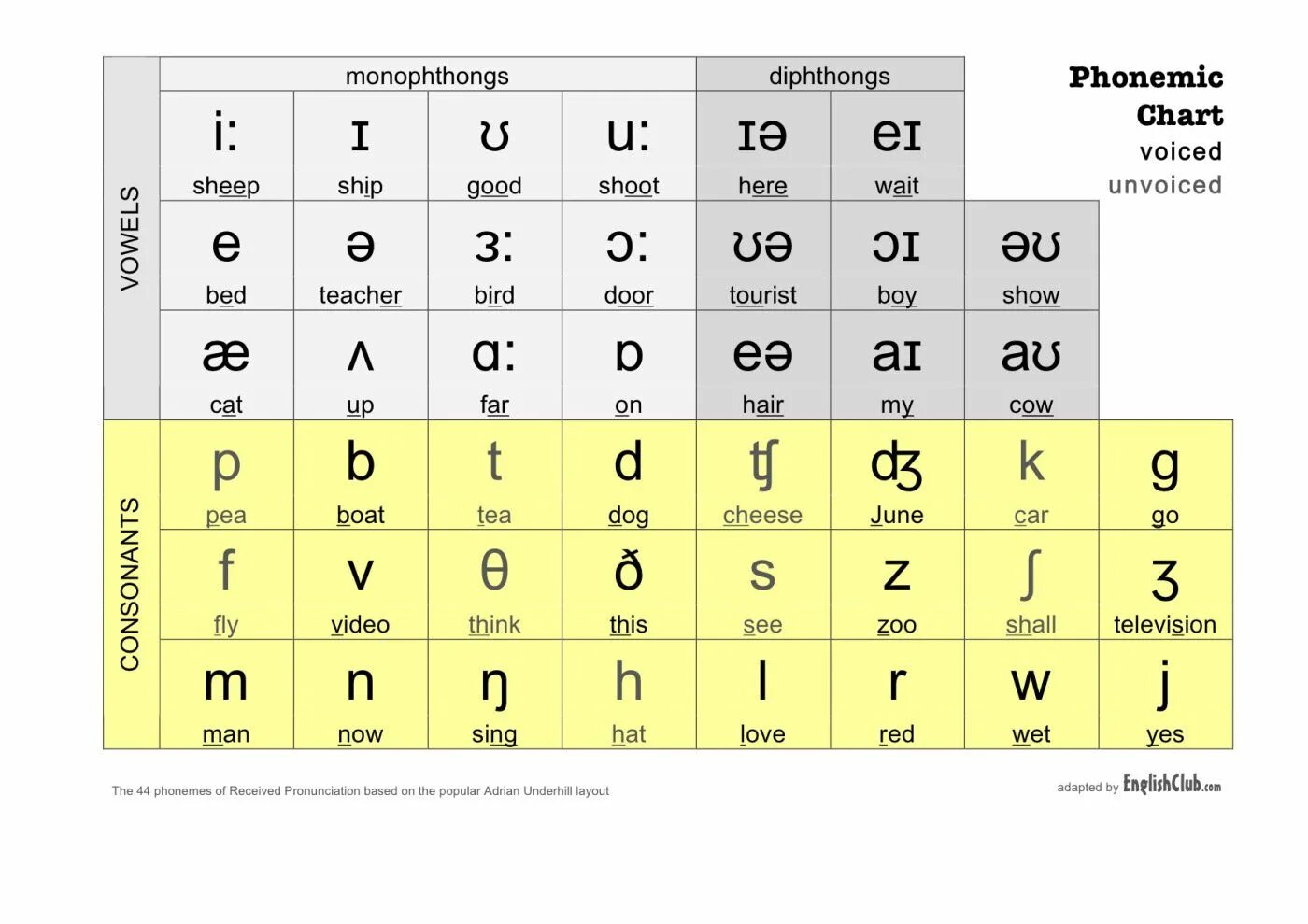 The language sound