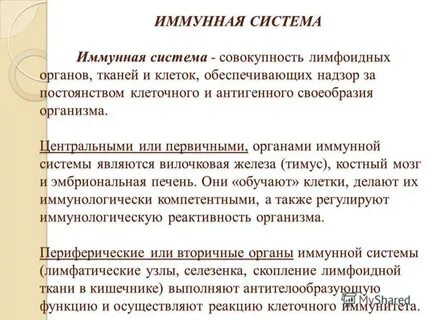 Значение иммунной системы