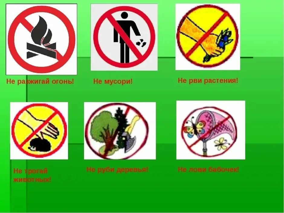 задачи по экологии.