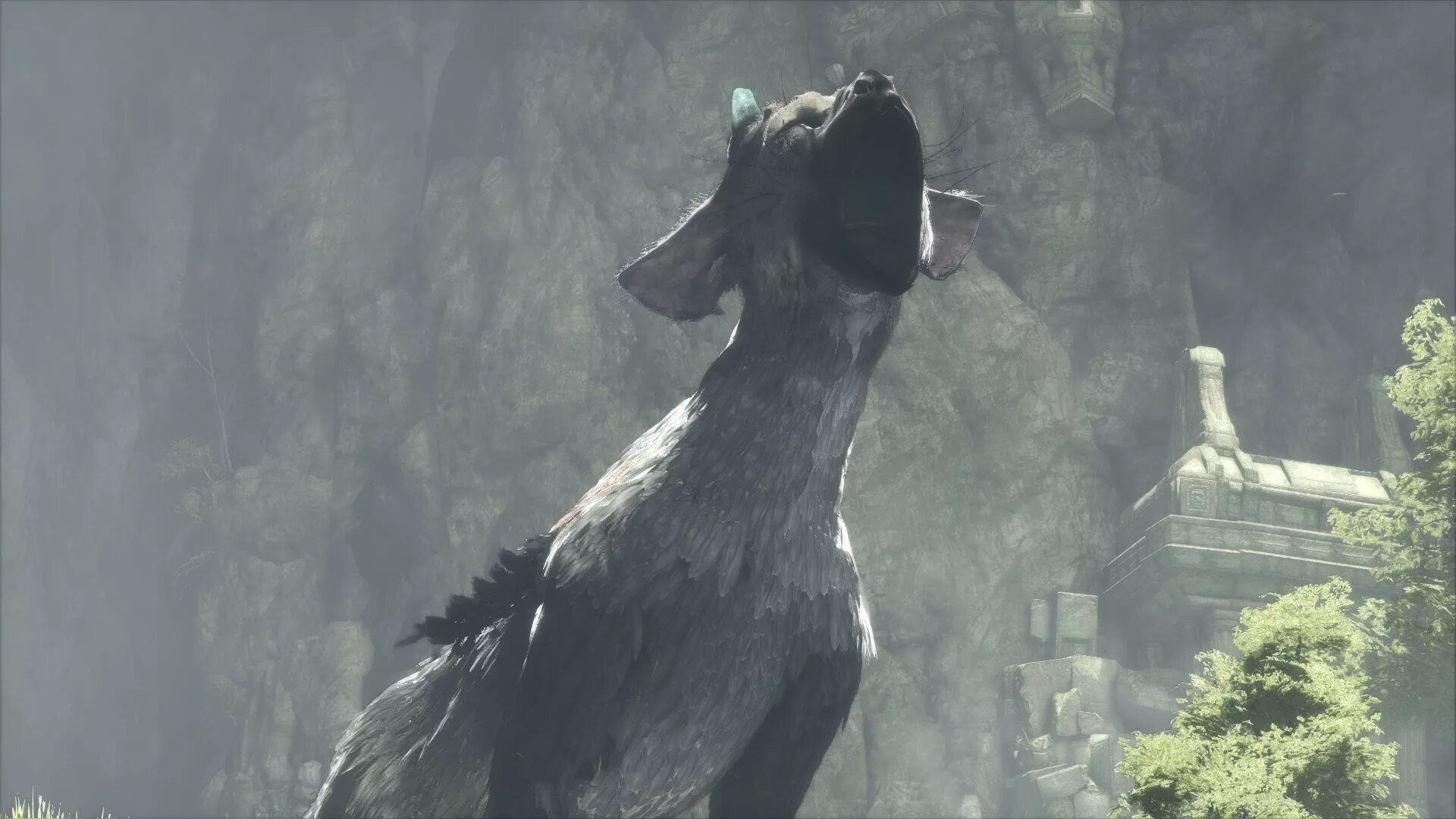 Игра the last guardian. Трико зе ласт Гардиан. Трику the last Guardian. Трико игра the last Guardian.