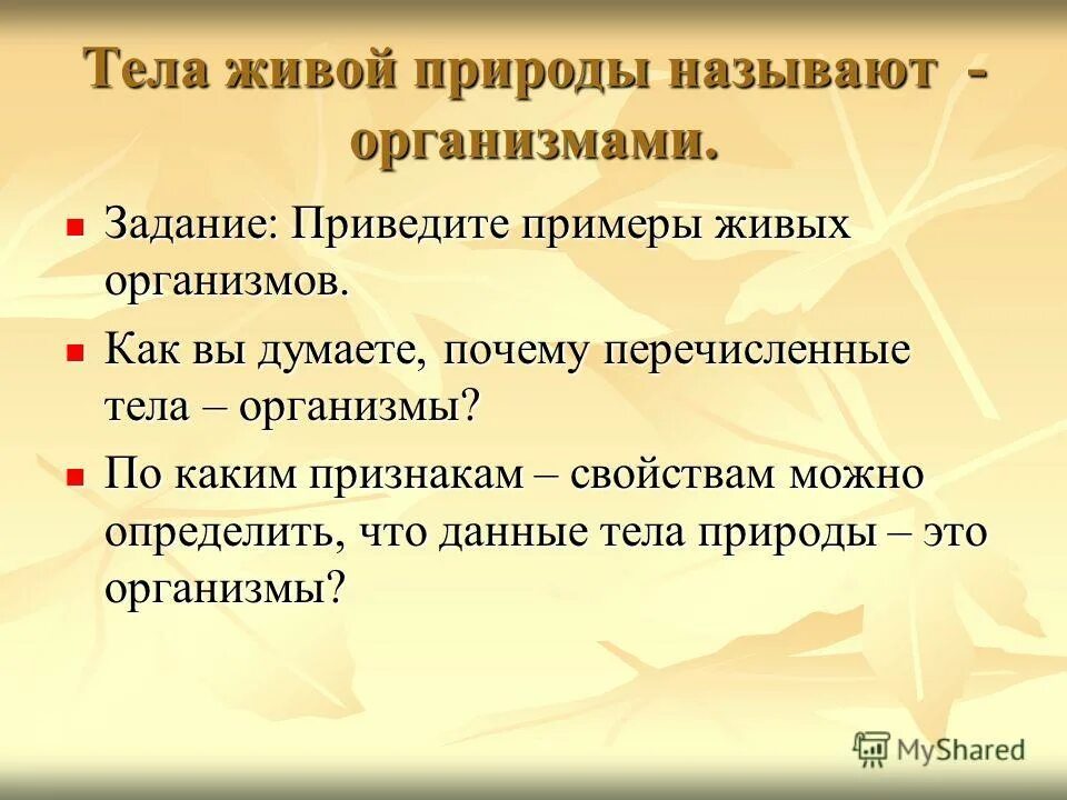 Что называют телами привести примеры. Что называют телами привести примеры. Что называют телами привести примеры. Приведите примеры изменения скорости тела. Из чего состоят физические тела.
