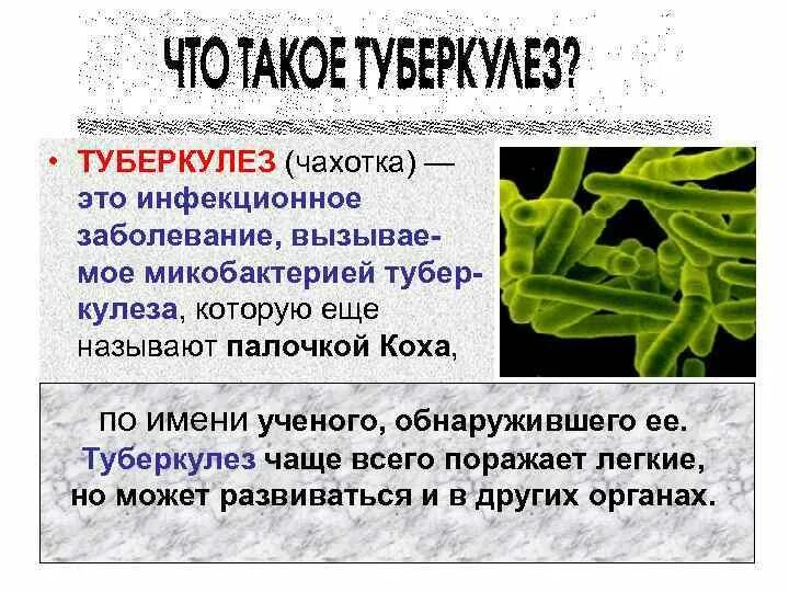 Туберкулез конспект