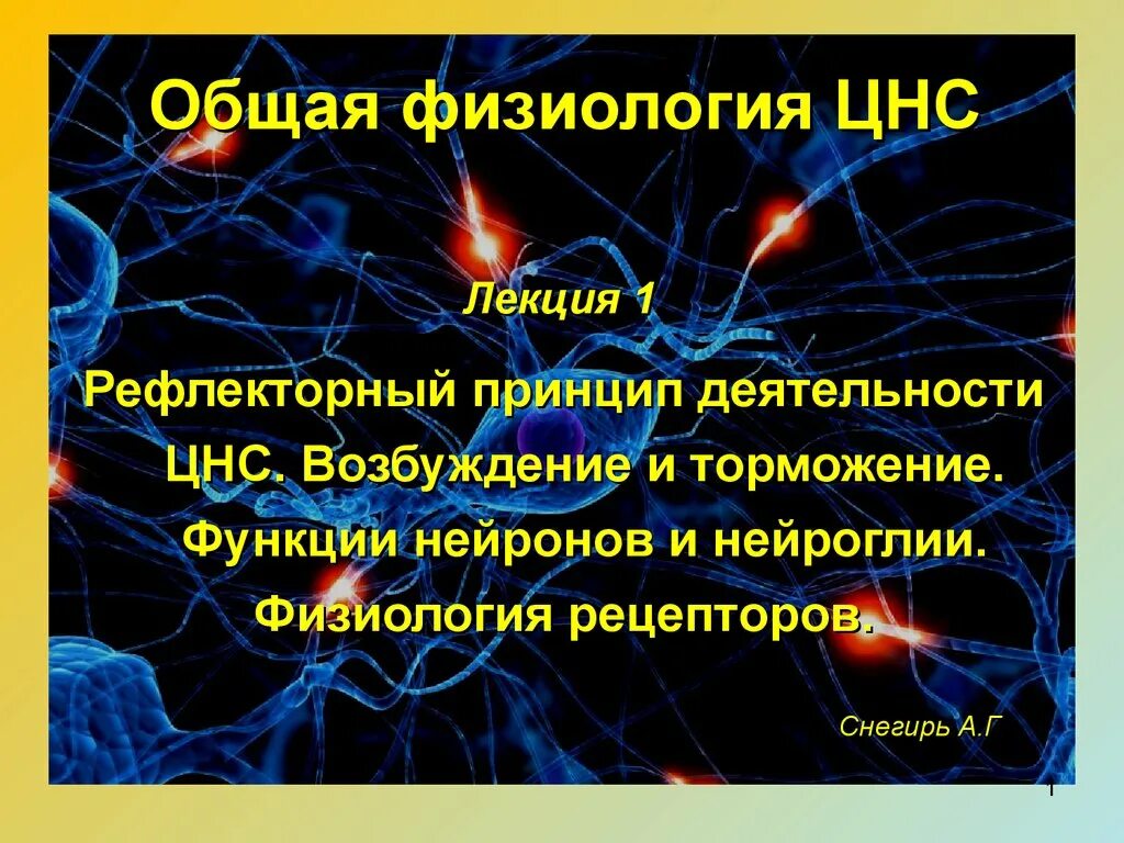 Принцип рефлекса. Физиология нервной системы. Общая физиология нервной системы. Принципы деятельности ЦНС. Принципы рефлекторной деятельности.