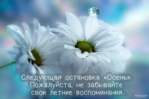 А когда будет светло