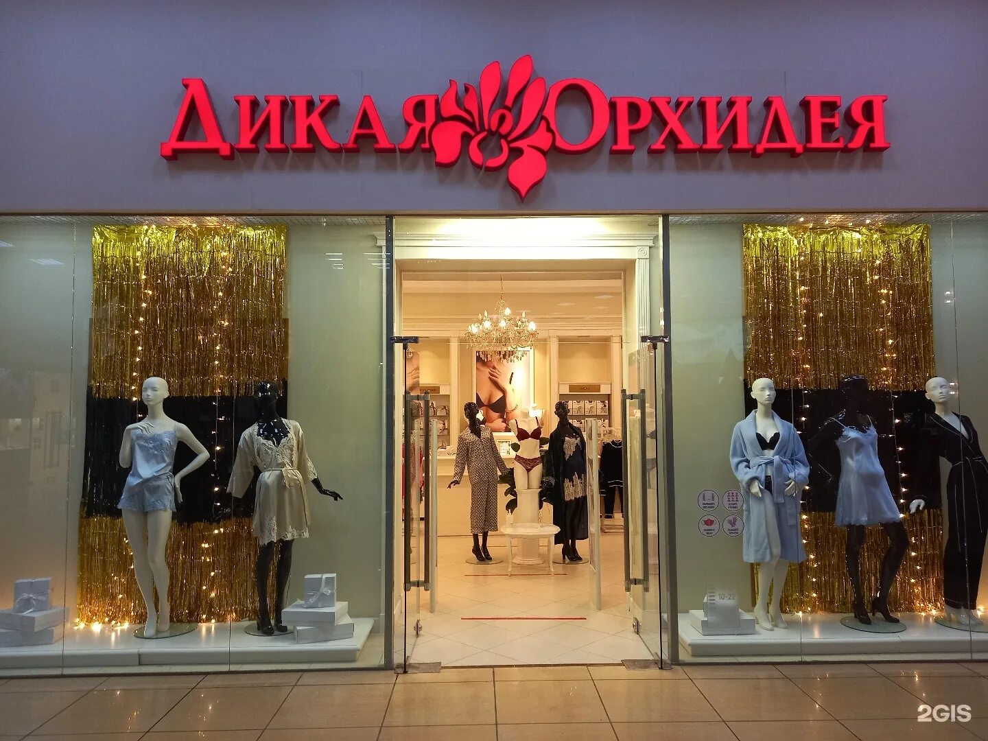 дикая орхидея магазин