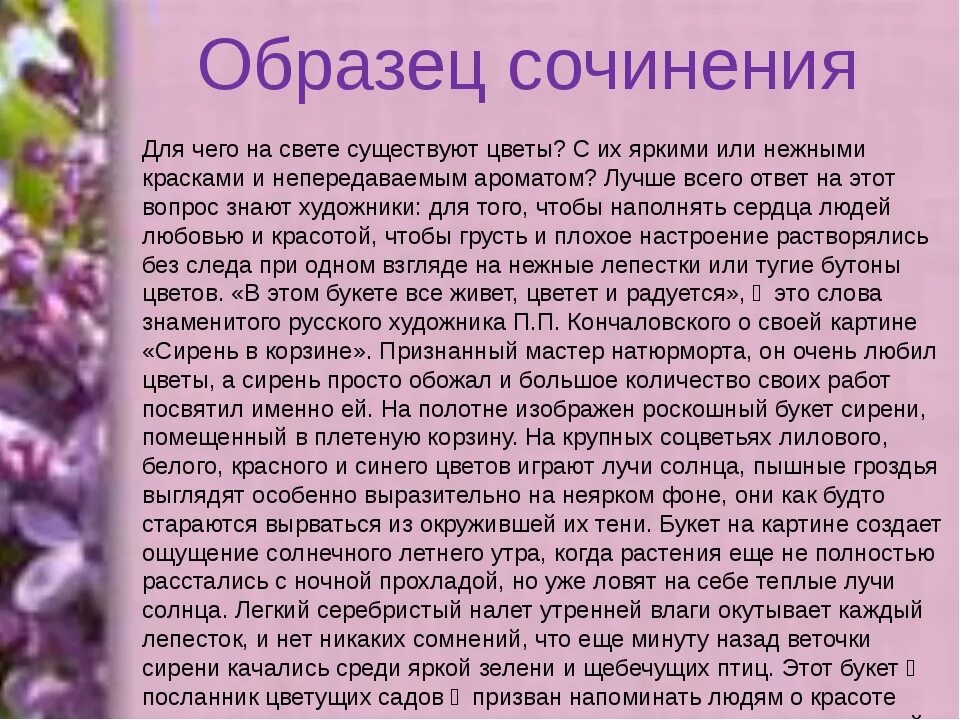 Рассмотрите изображение сирени и опишите ее. Сочинение цветов. Сочинение про цветок. Сирень описание растения. Сочинение на тему растения.