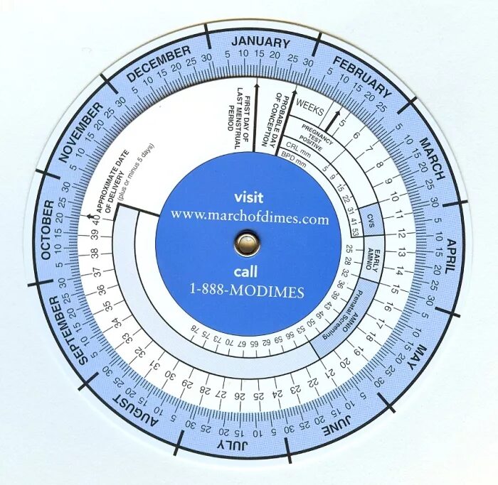 Калькулятор акушерских недель. Круглый календарь. Акушерский календарь круглый. Календарик беременности круглый. Круглый календарь для беременных.
