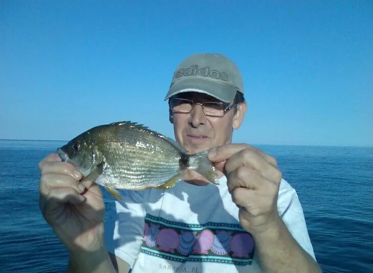 Морской карась: фото с описанием, как выглядит черноморский карась. Советы на чт