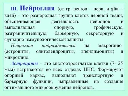 К клеткам нейроглии относятся