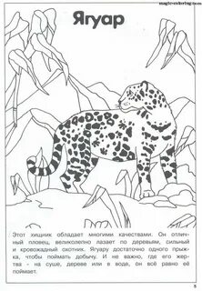 Трафарет красная книга