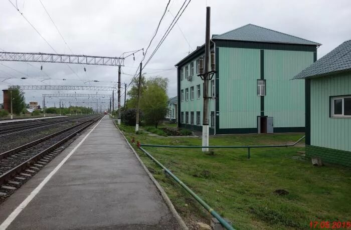 Тарханы саратовская область. Музей заповедник тарханы. Погода ст тарханы саратовская. Погода ст тарханы саратовская. Усадьба тарханы пензенская область.