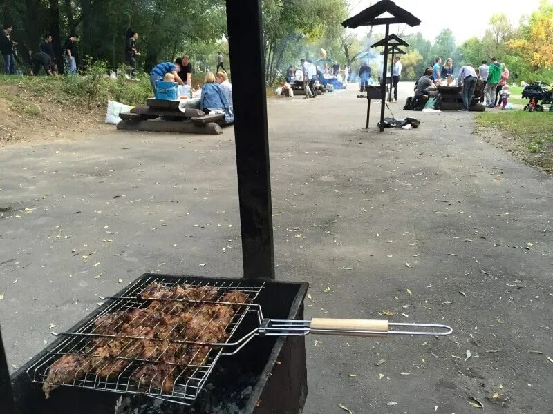 Пожарить шашлык в москве. Серебряный Бор парк шашлыки. Пикниковая зона ПП серебряный Бор. Серебряный Бор пикниковая зона шашлыки. Серебряный Бор парк Шашлычная зона.