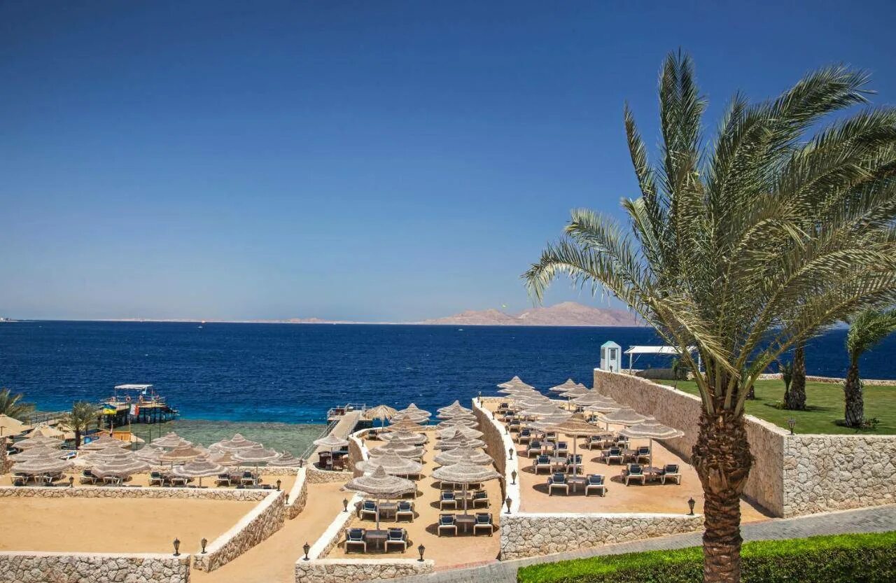 Sultan resort 5. Sultan gardens resort 5 шарм-эль-шейх.