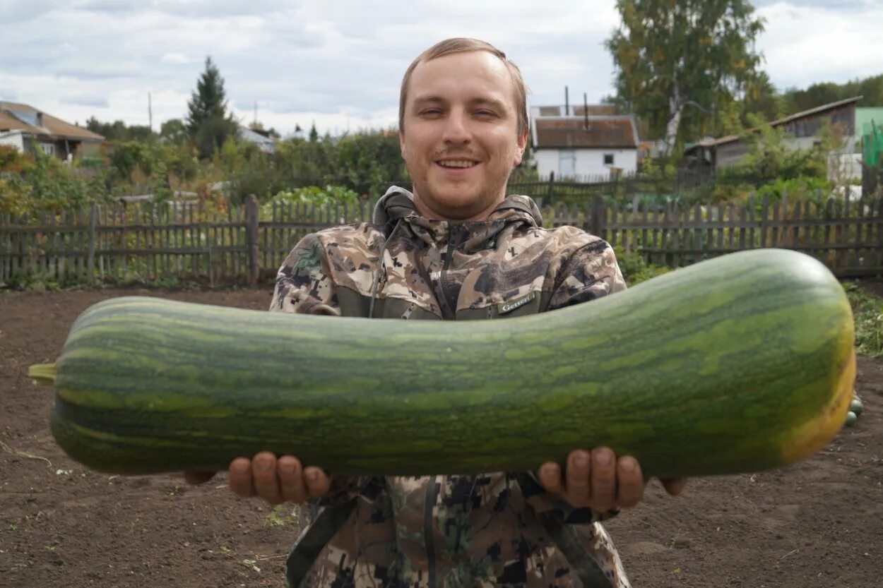 Переродится с большим