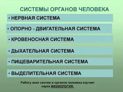 Функционирования изучаемого языка. Функционирования изучаемого языка