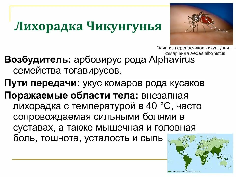 Лихорадка презентация. Диагностика лекарственной лихорадки. Лихорадка марбург возбудитель. Осложнение глпс (геморрагической лихорадки с почечным синдромом). Сыпь дерматит атопический дерматит.