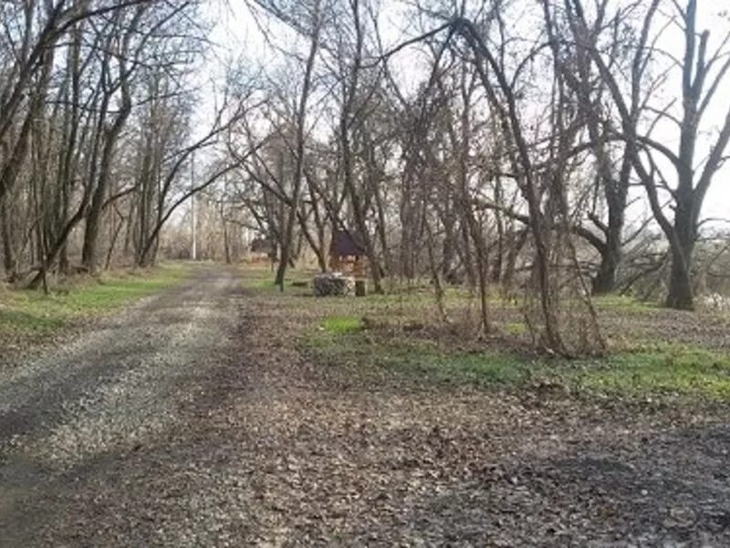погода в ст привольная. краснодарский край каневской район ст привольная. погода в ст привольная. каневской район станица привольная. кладбище в станице ленинградской краснодарского края.