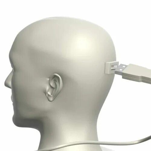 Head c