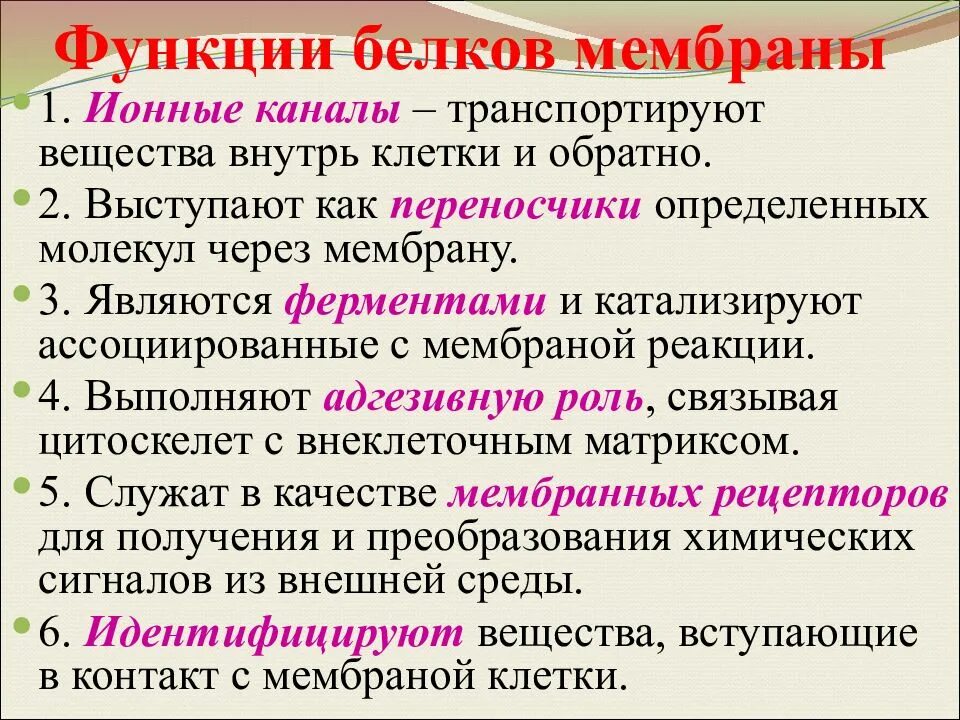 Свойства функции мембраны. Функции белков в клеточной мембране. Функции белков в мембране клетки. Функции мембранных белков. Свойства белков каналов клеточных мембран.