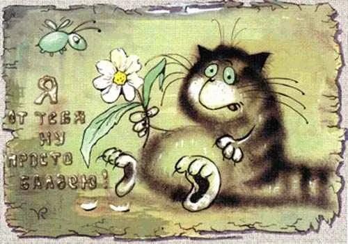 Давай жалей