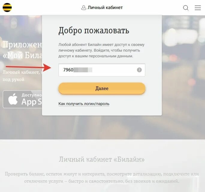 Билайн оплата app store. Экстра баланс билайн. номер проверки платежа билайн. билайн доверительный платеж как получить. как проверить баланс билайн в казахстане.