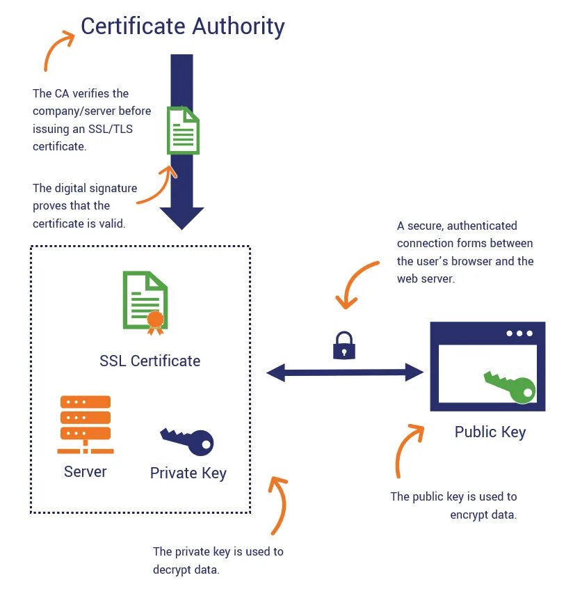 Сервер Certification Authority. Certification Authority модели. Публичный ключ SSL. TLS Certificate.