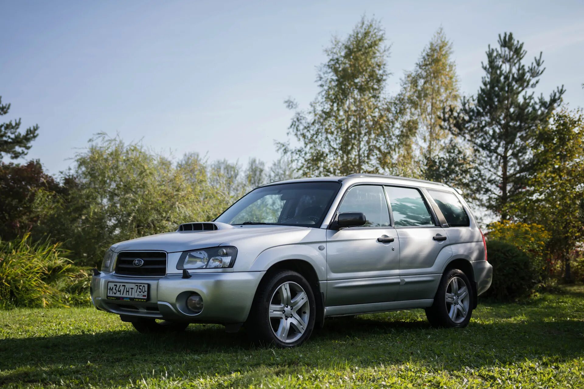 Субару Форестер поколения по годам выпуска. Autumn Green Metallic Subaru Forester. Subaru Forester sg5 3d model. Subaru Forester SG Newport.