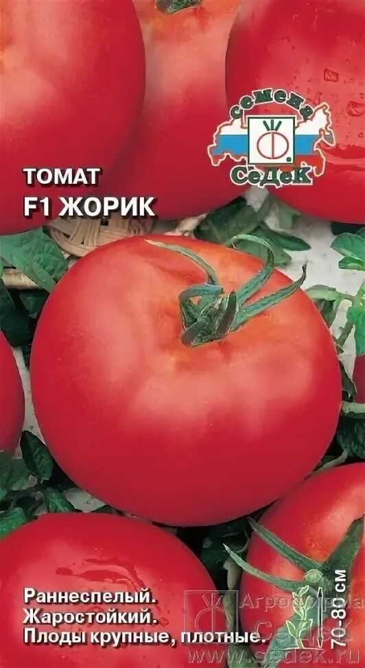 Томат жорик-обжорик отзывы. Жорик отзывы. Помидор жорик описание. Аслан ревазов. Конфета жорик обжорик сколтко грам.