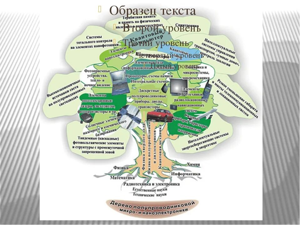 География. Структура географической науки. Многоликая география. Древо географических наук. География дерево географических наук.